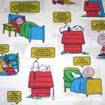 Peanuts Gang sayings