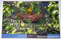 Woodstock - Small is Beautiful