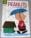 Peanuts Snoopy & Charlie Brown in the Rain