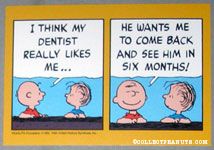 I think my dentist really likes me