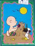 Charlie Brown on the Beach