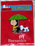 Barnardo’s Peanuts & Snoopy Pins