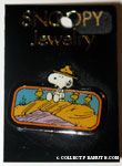 Snoopy & Beaglescouts sitting on hill Pin