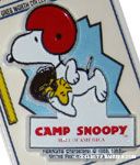 Snoopy and Woodstock