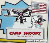 Flying Ace with American Flag