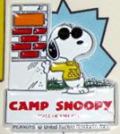 Joe Cool leaning against building