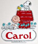 Snoopy and Woodstock on Doghouse