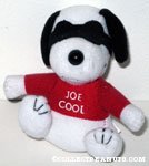 Joe Cool