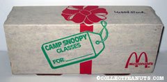 Camp Snoopy Glasses Gift Box