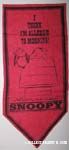 Snoopy on doghouse