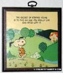 The secret of saying young Plaque