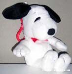 Coin Holder and Keychain