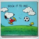Snoopy and Woodstock play soccer