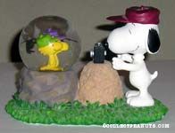 Snoopy taking Woodstocks Photos