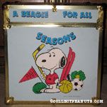 Snoopy with sports equipment 'A Beagle for all Seasons' Cube Footlocker