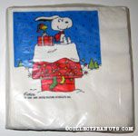 Snoopy and Woodstock on decorated Doghouse