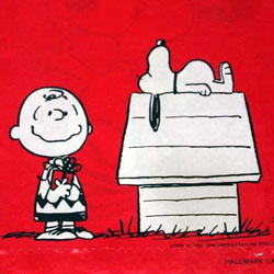Click to View Peanuts Shopping Bags