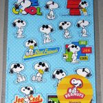 Snoopy Joe Cool & Woodstock Magnet Set