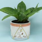 Snoopy and Woodstock drum themed planter