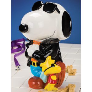 Snoopy Around the Home