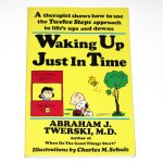 Waking Up Just In Time Book