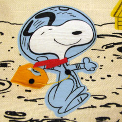 Peanuts Simon Simple Goodies - Peanuts Treasure Box