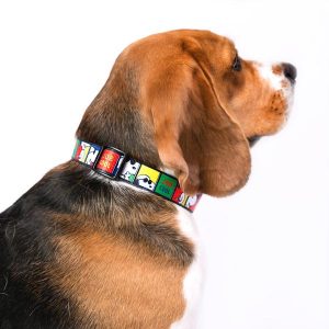 Snoopy Dog Collars & Leashes