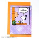 Charlie Brown and Snoopy Thanksgiving Greeting Card