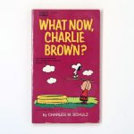 What now, Charlie Brown? Book