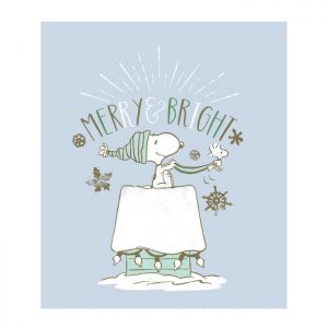 Peanuts Throws at Joann