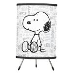 Custom Peanuts & Snoopy Lamps