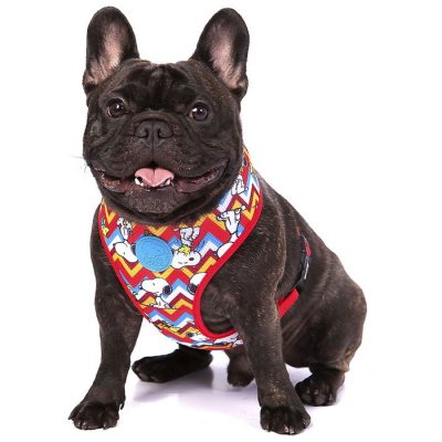 Snoopy Dog Toys & Pet Supplies from Chewy