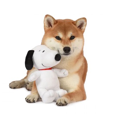Snoopy Dog Toys & Pet Supplies from Petco