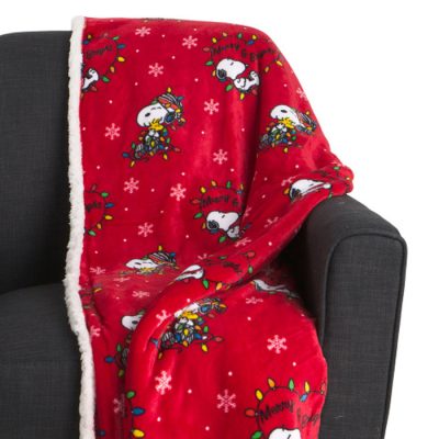 Peanuts Decor at TJMaxx