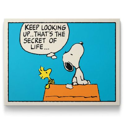 Peanuts gifts at Ikonick