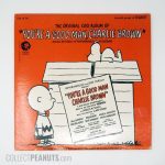 Peanuts & Snoopy Vinyl Records