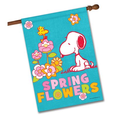 Peanuts Collectibles at Flagology Flags