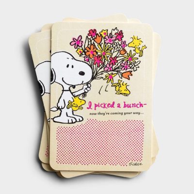 Peanuts cards at Dayspring