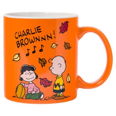 Peanuts football decor from Amazon.com