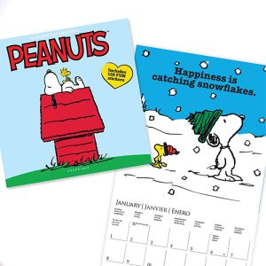 Amazon.com Peanuts Calendars