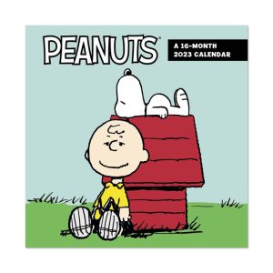 Walmart Peanuts Calendars