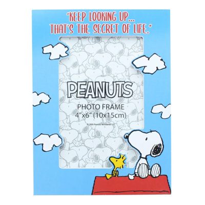 Peanuts gifts at Toynk