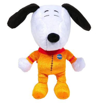 Peanuts Stocking Stuffers at Toynk