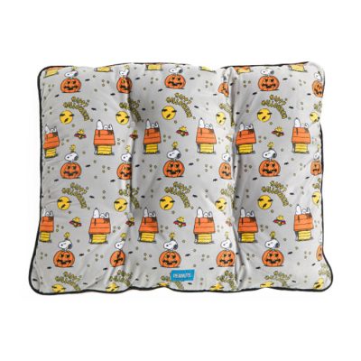 Peanuts Halloween at TJMaxx