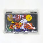 Snoopy Halloween Paint Kit