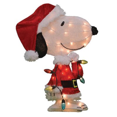 Peanuts Outdoor Decor at QVC