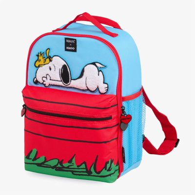 Peanuts collectibles at Igloo