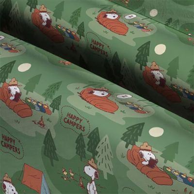 Peanuts collectibles at Joann