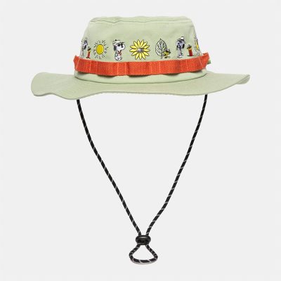 Peanuts at Parks Project