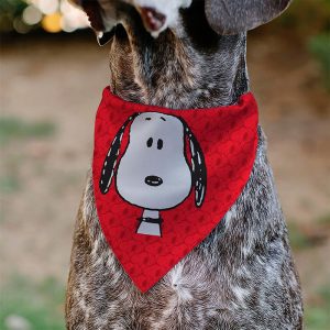 Buckle Down Snoopy Pet Supplies